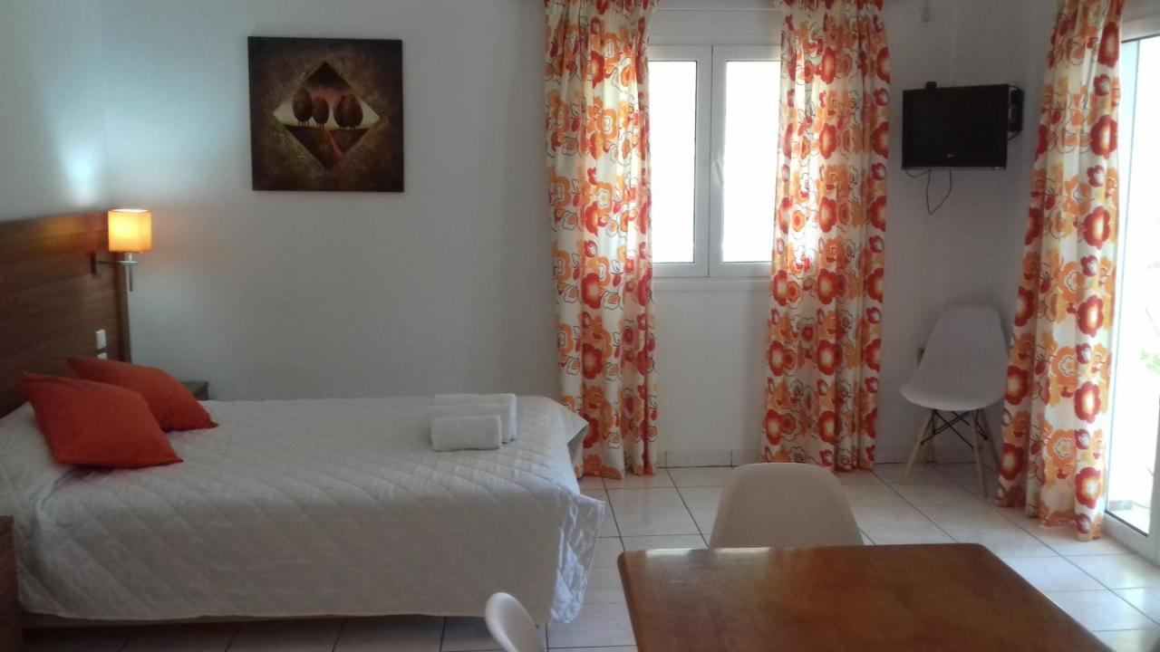 Apartment Potokia