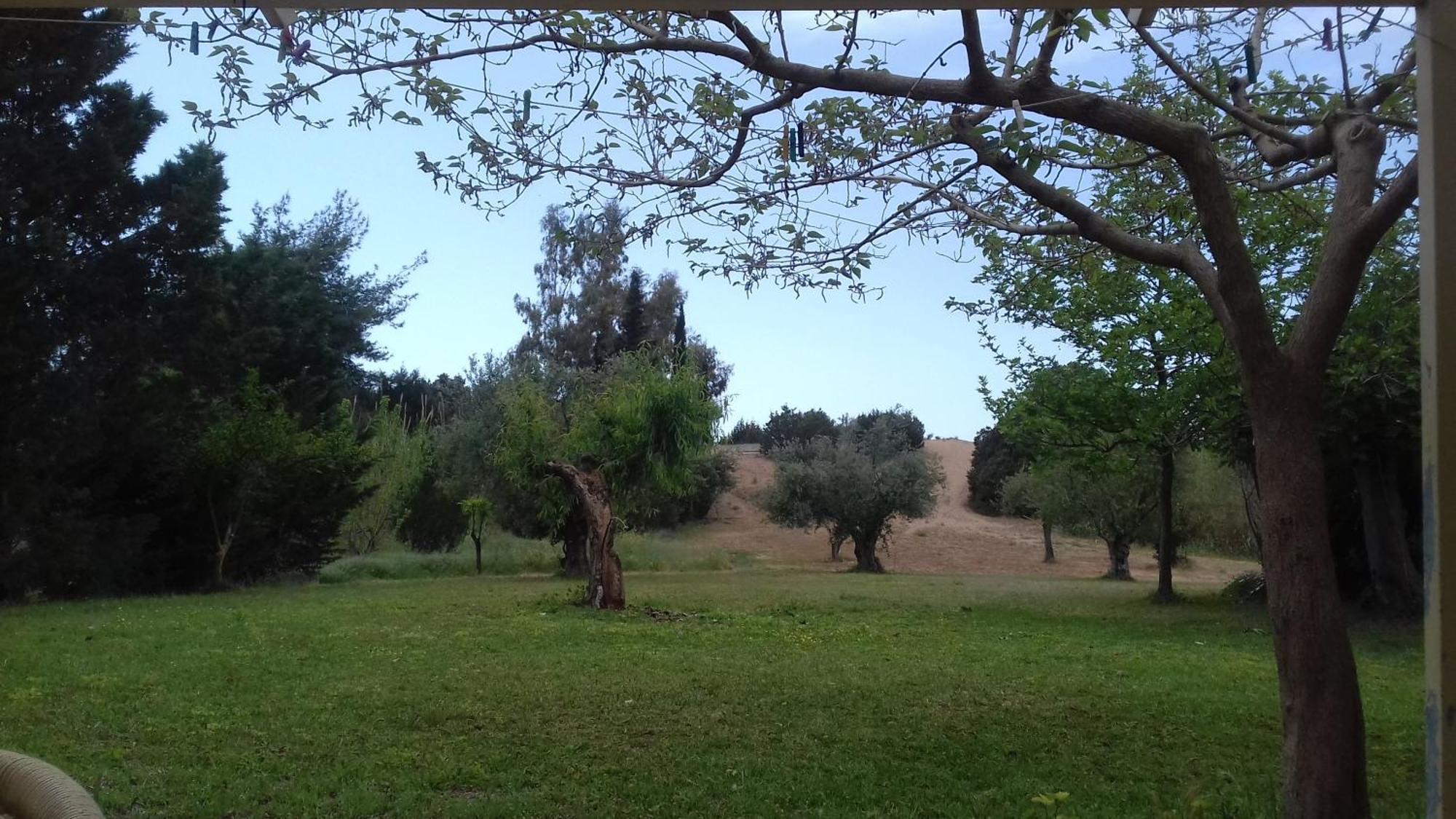 Potokia *
