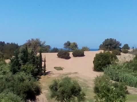 Potokia * Kakovatos