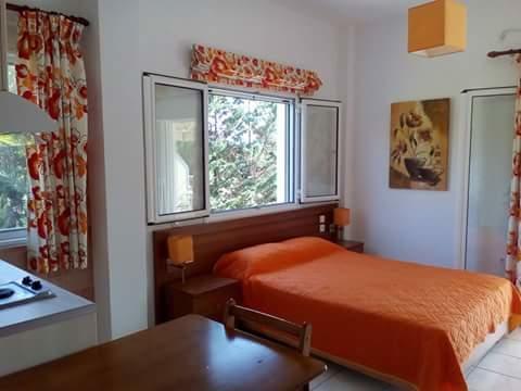 Apartment Potokia