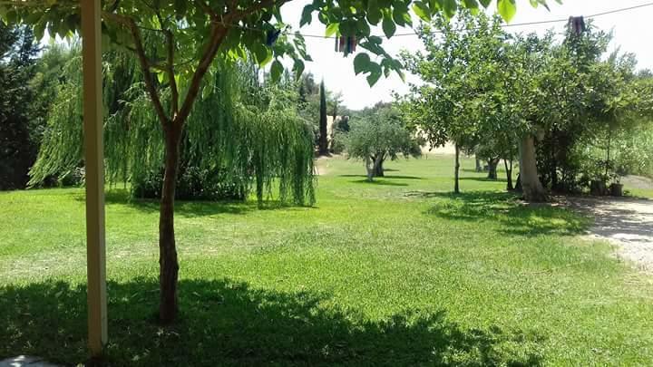 Potokia